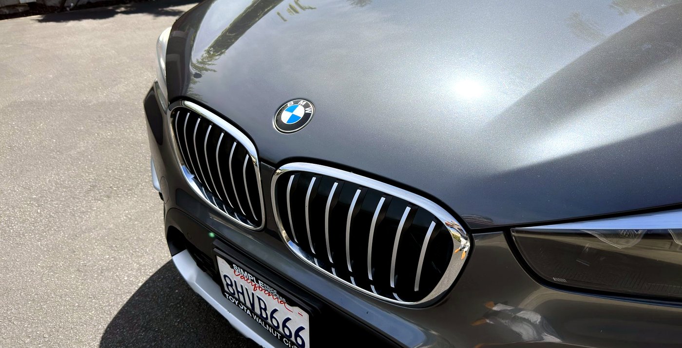 BMW grille and bonnet after decontamination