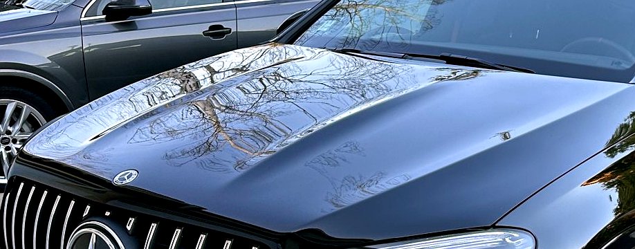 Bare branches mirrored in freshly sealed black paint